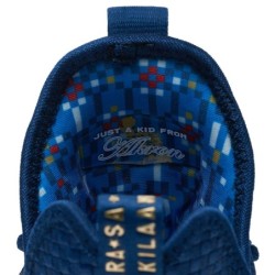 Nike LeBron 14 - Soutien Évolutif Dynamique